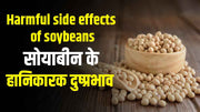Harmful side effects of soybeans